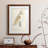 " Barn Owl "-1256061385-1256061386