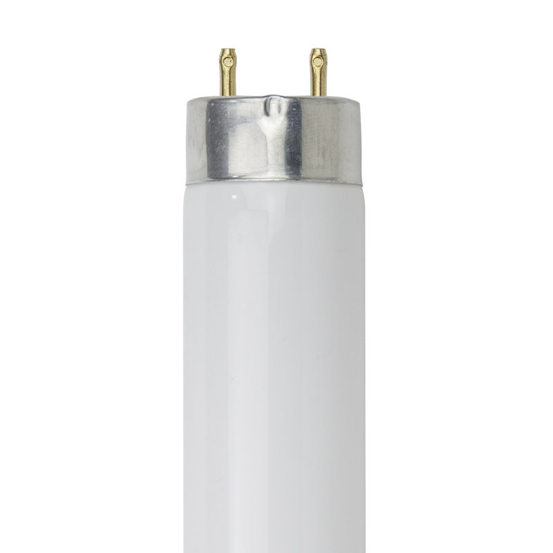 Ampoule fluorescente T12 15 W à intensité variable, culot G13 / à deux broches, 6 500 K