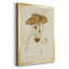 Mushroom Variétés V - reproduction d'art sur toile-1430477603-1430477600