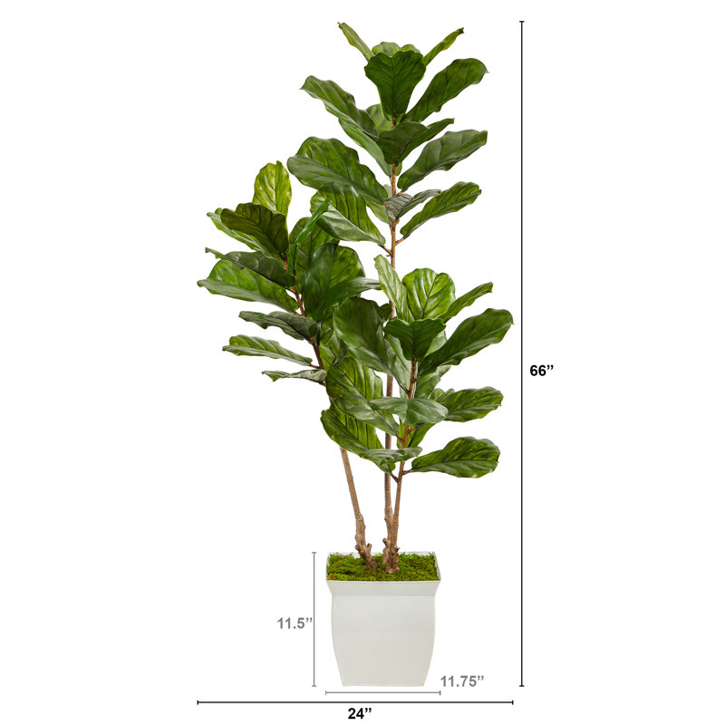 5.5Ft. Fiddle Leaf Artificial Tree In White Metal Planter UV Resistant (Indoor/Outdoor)