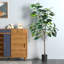 Figuier figuier figuier 4 branches en pot-88616027