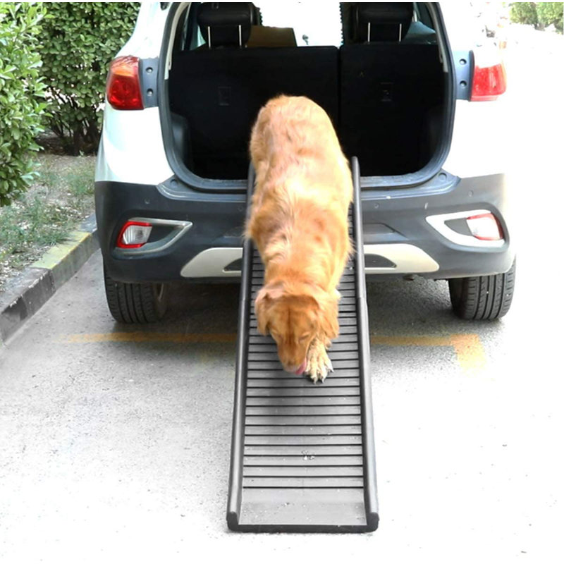 Diemer Collapsible Ramp