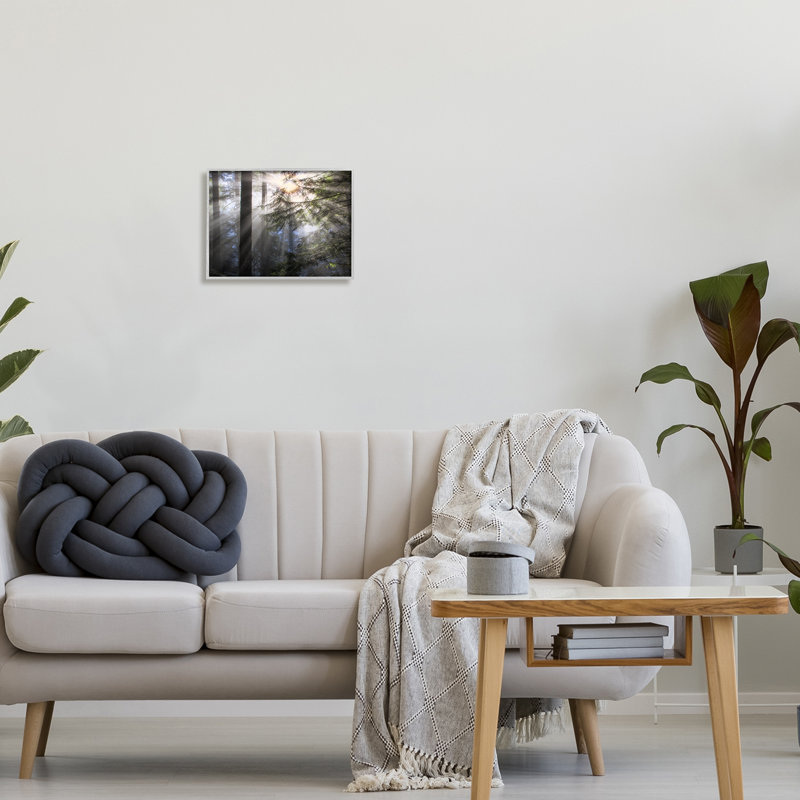 Gray Framed Forest Sun Rays Nature Scenery Canvas Print