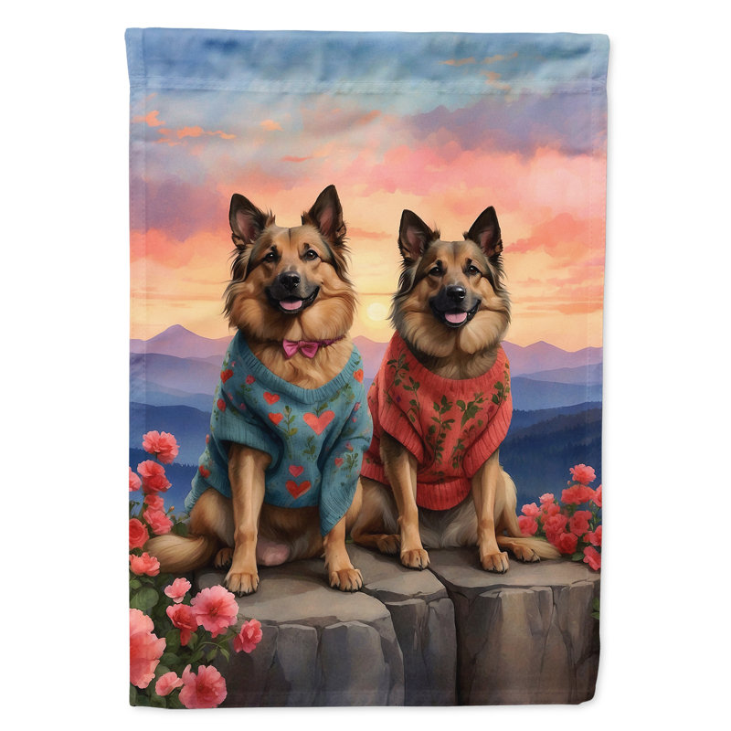 Drapeau pour chien double face H 40 po x l 28 po
