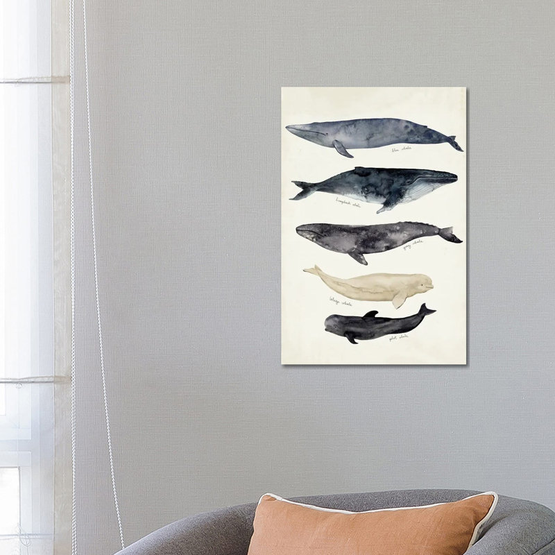Whale Chart II by Victoria Barnes - Wrapped Canvas Painting, 66.04 cm H x 45.72 cm W x 1.91 cm D