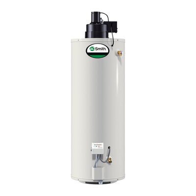GPVX-50 Water Heater Residential Nat Gas 50 Gal ProMax Power Vent 65,000 BTU -  A.O. Smith