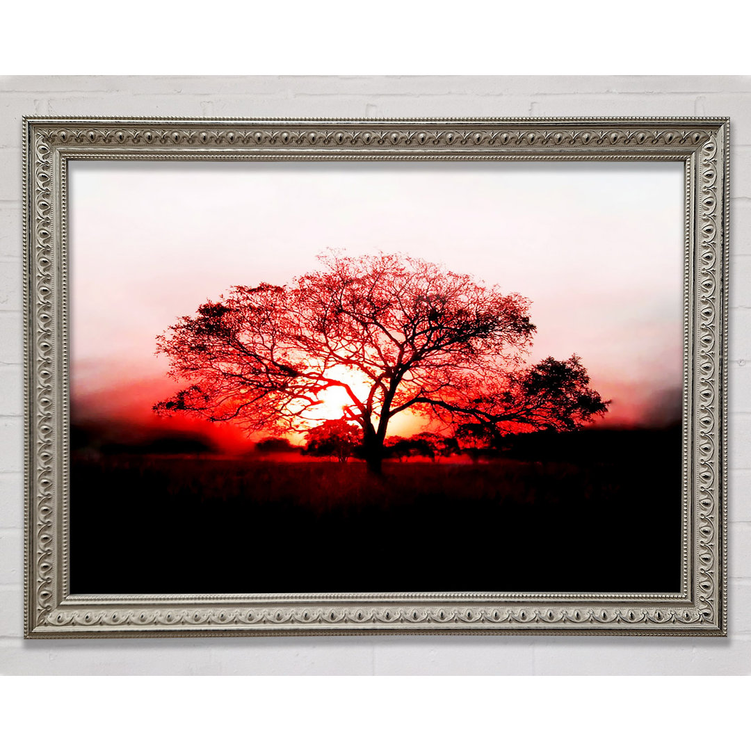 Kunstdruck Red Sunrise Oak Tree