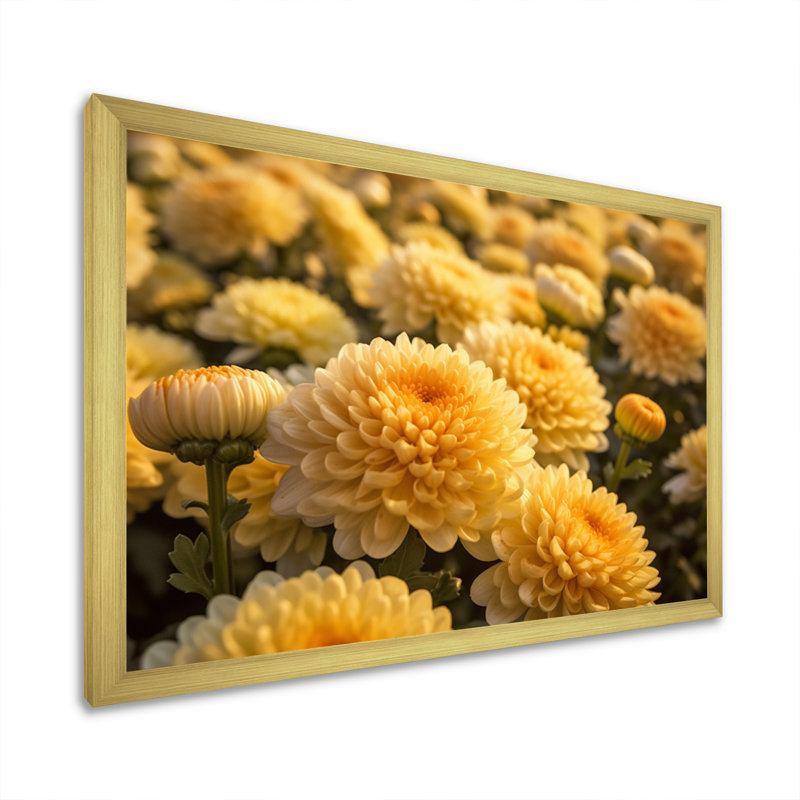 «Yellow Chrysanthemums Field» sur impression sur toile, H 24 po x l 32 po x P 1 po, Cadre doré à une seule photo