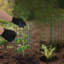 Paquet de 18 housses pour plantes robustes avec piquets - Clôture de jardin en métal antirouille de 17 po x 12 po pour lapins, écureuils et cerfs | Cages cylindriques / rectangulaires ajustables DIY pour légumes, fleurs et arbustes | Inclus-132560532