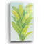 «Chartreuse Tropical Foliage II» par Tim O'Toole, art mural en verre acrylique-1724259390
