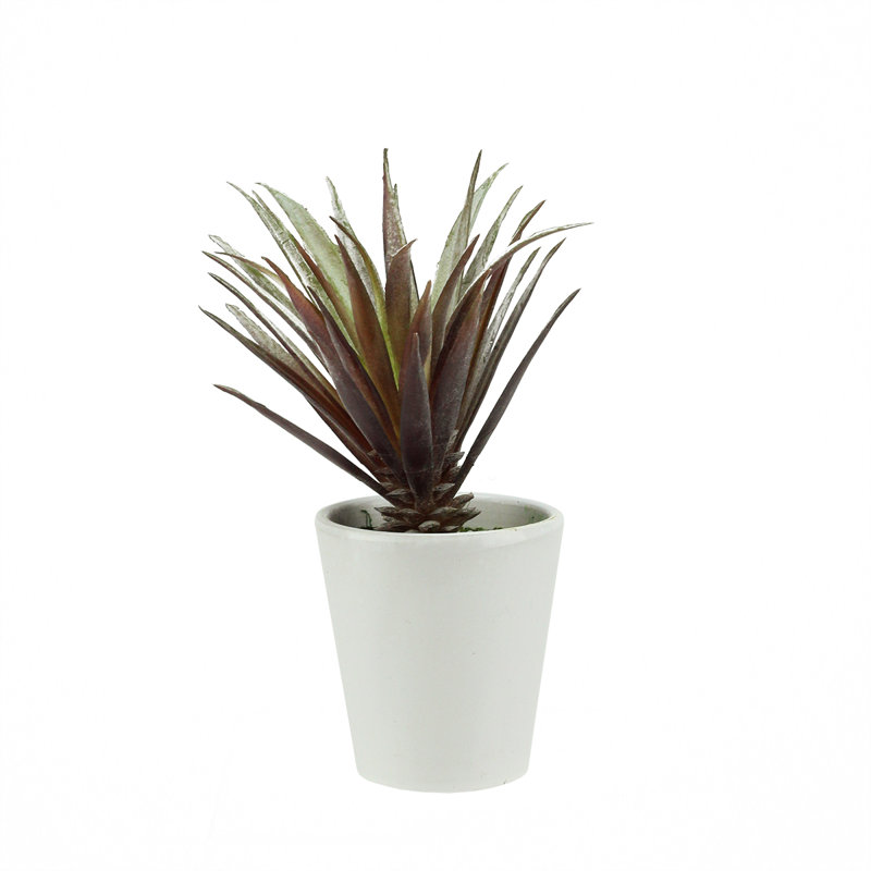 Plante grasse artificielle rouge et verte en pot 7,5 po Aloe Vera