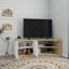 TV Stand with Shelves and Cabinet Dion-1012161710
