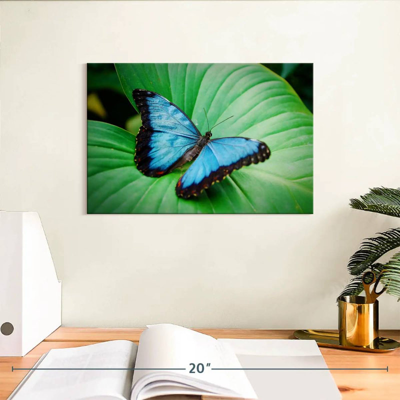 Blue Morpho On Leaf, 8" H x 12" W