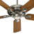 Satin Nickel with Nickel/Walnut Blades