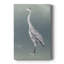 Aigrette sur azur I - galerie Cavas-1900386937