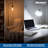 40 Watt E26 Incandescent Light Bulb, ST18 Nostalgic Hairpin Filament, 2200K Warm Amber Glow, 135 Lumens, Dimmable