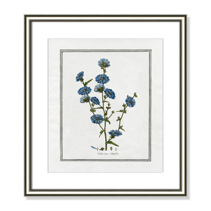 Colombe Soft Botanical I - Art encadré avec fond perdu, L 14,25 po x H 16,25 po, Cadre argenté