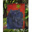 Drapeau rouge et vert Vart-1282087734