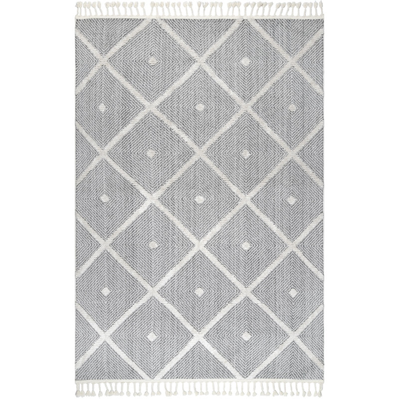 Molimo Moroccan Indoor Rug, Rectangle 4' x 6' 8"