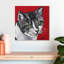 Chat tigré sur fond rouge-109400265
