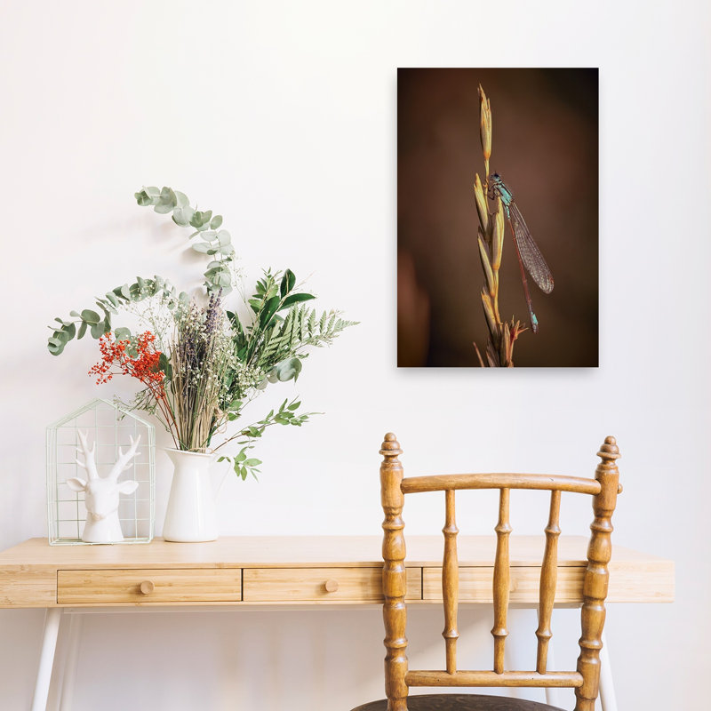 Élégante demoiselle bleue, animal délicat, élégant et paisible, impression d'art mural nature, 24" H x 16" W
