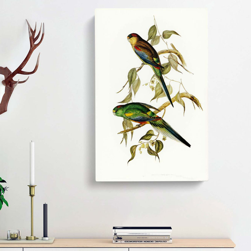 Colourful Parakeets by Elizabeth Gould - Wrapped Canvas, 60cm H x 40cm W x 3cm D