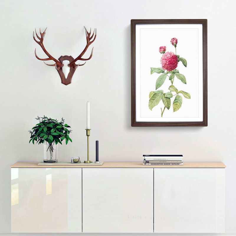 Pink Agatha Rose by Pierre-Joseph Redoute - Picture Frame Painting Print, Walnut Framed, 36cm H x 27cm W x 2cm D