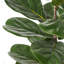 Figuier Achille artificiel en pot-368691956