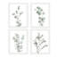 «IDÉE4WALL», art mural forêt pastel encadré, ensemble de 4 impressions murales de collage nature jardin, décoration murale nature sauvage pour le salon, impression encadrée de 4 pièces-90161920-90161922