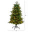 Sapin de Noël vert avec 550 lumières DEL-1643111212