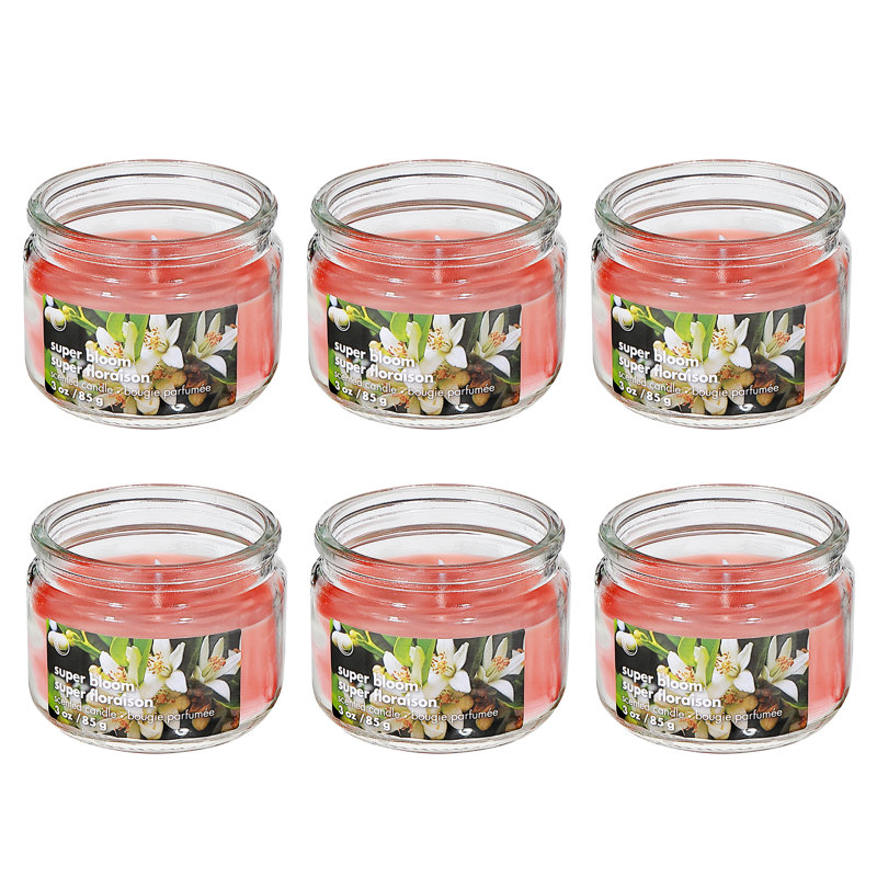 Ensemble de 6 pots en verre parfumés 3 oz