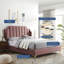 Modway Daniella-1525644553