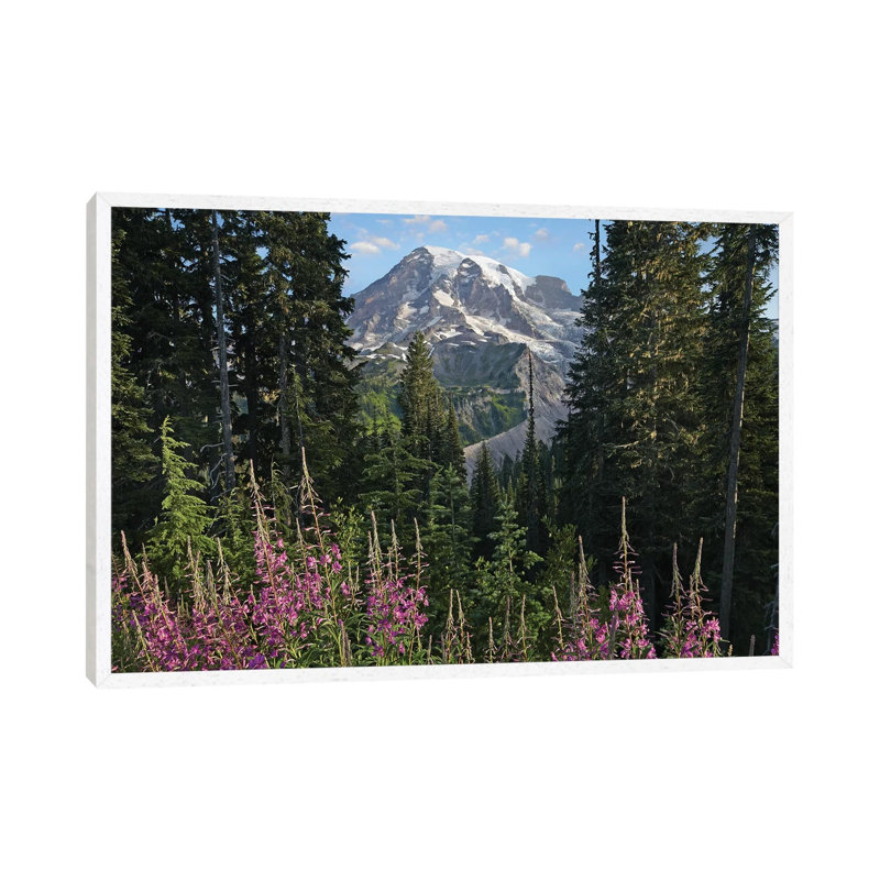 Fireweed Flowering And Mount Rainier, Mount Rainier National Park, Washington 1 Piece Wall Art on Canvas, White Framed