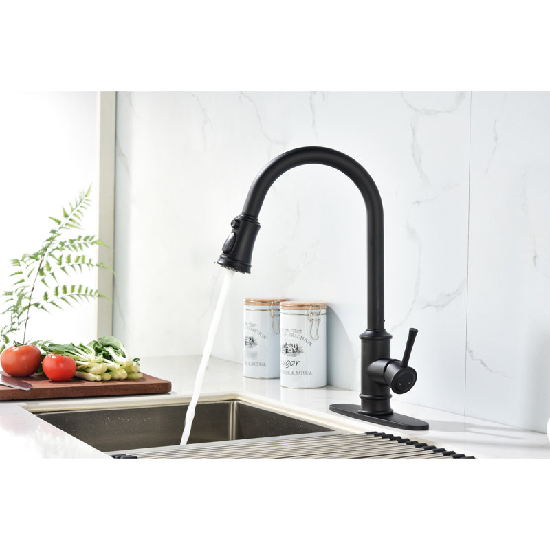Robinet de cuisine rétractable en acier inoxydable avec esthétique noir mat et poignée simple pour une expérience améliorée