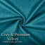 Luxurious Plain Velvet Cushion Covers (Set Of 2)-1625199603