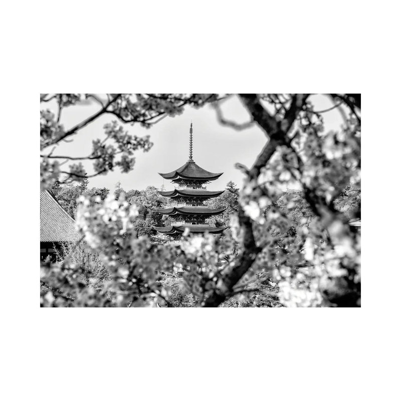 Pagoda Cherry Blossom 1 Piece Wrapped Canvas Wall Art, 101.6 cm H x 66.04 cm W