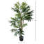Palmier tropical en pot 60 "