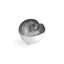 Ocean Reef Moon Shell Bowl-268003159