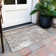 Aleg Area Rug