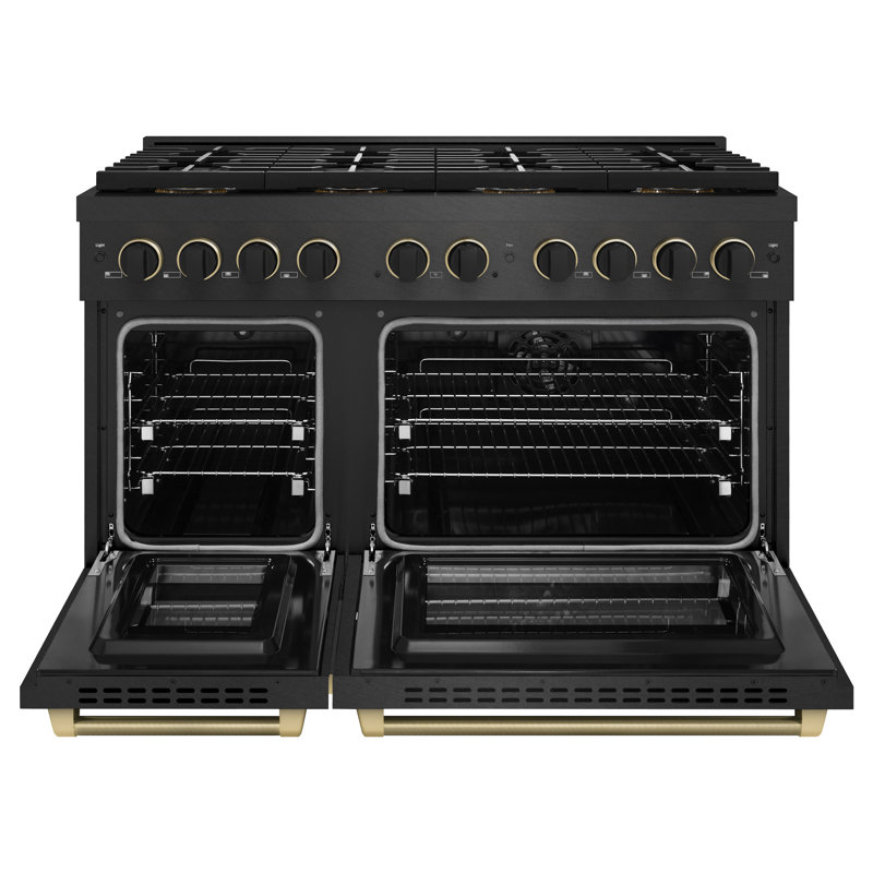 ZLINE Designer 48 in. DuoPro Dual Fuel Range in Black Satin Steel with Black and Bronze Accents, Matte Black/Champagne Bronze