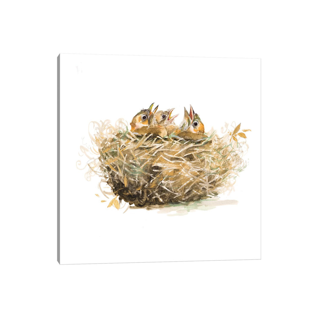 The Nest by Patricia Pinto - Wrapped Canvas Gallery-Wrapped Canvas Giclée