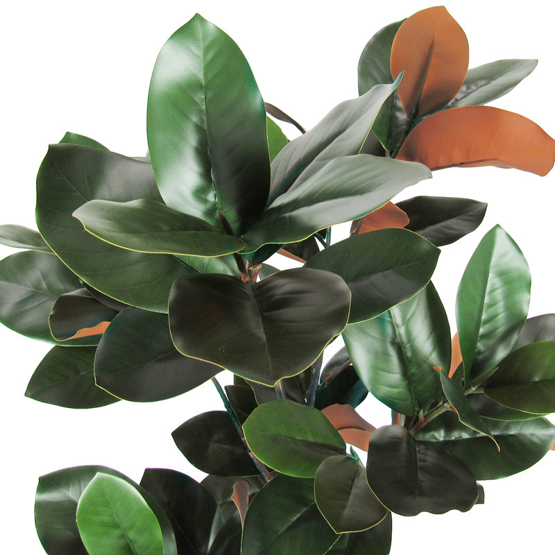 Faux Magnolia Plant in Pot, 48" H x 25" W x 25" D