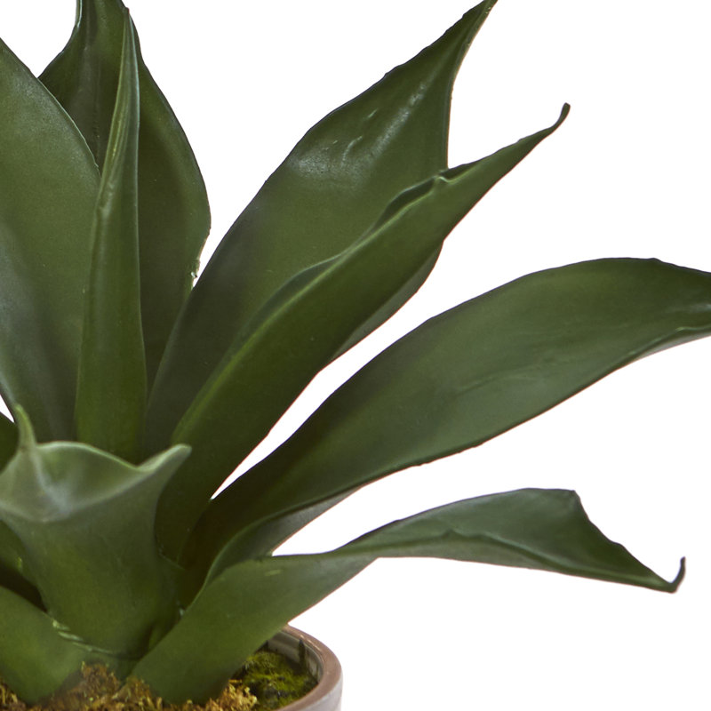 Agave artificielle 9" succulent plante en pot