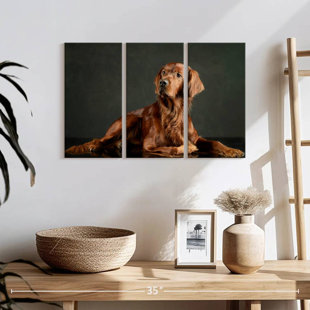 Loyal Irish Setter