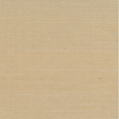 Tammi Grass Cloth Roll