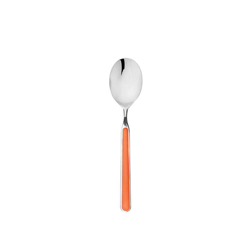 Fantasia Place Set 5 Pcs, Carrot