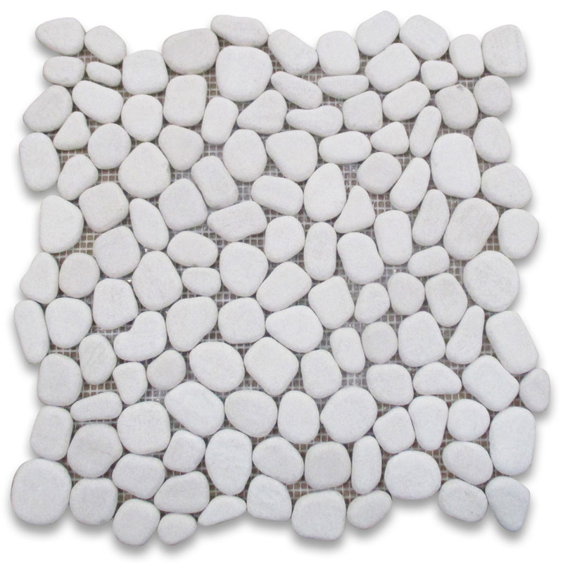 Carreau de mosaïque de marbre et de galets 12 po x 12 po Moleanos
