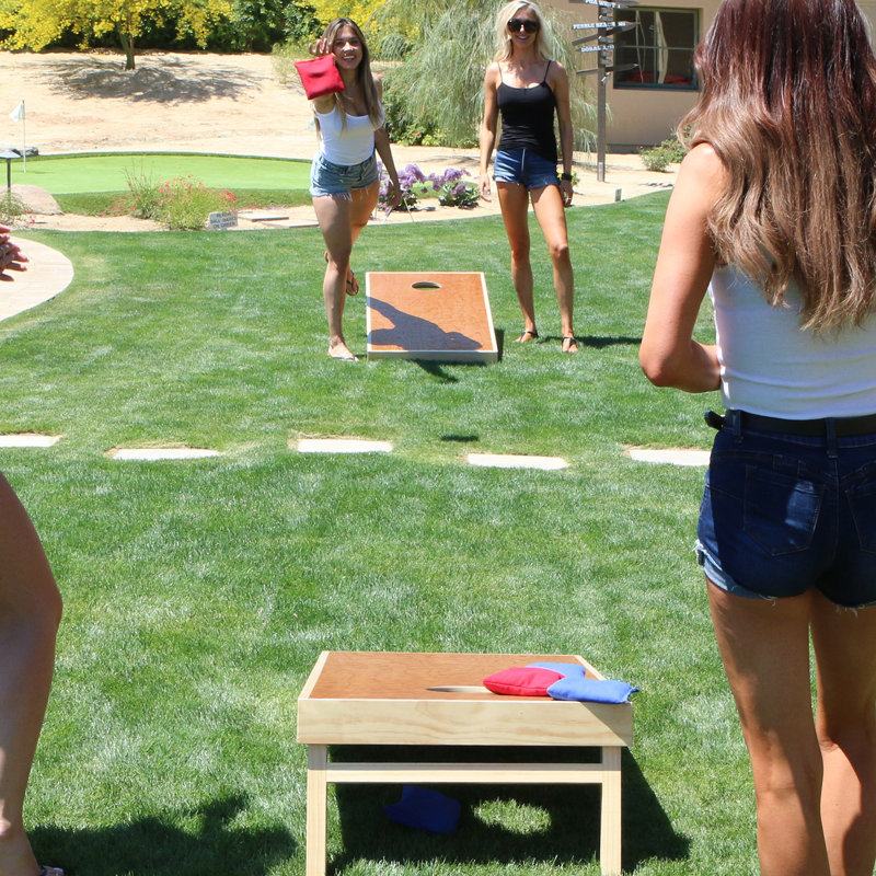 Pro Grade 4 ft x 2 ft Natural Wood Cornhole Boards