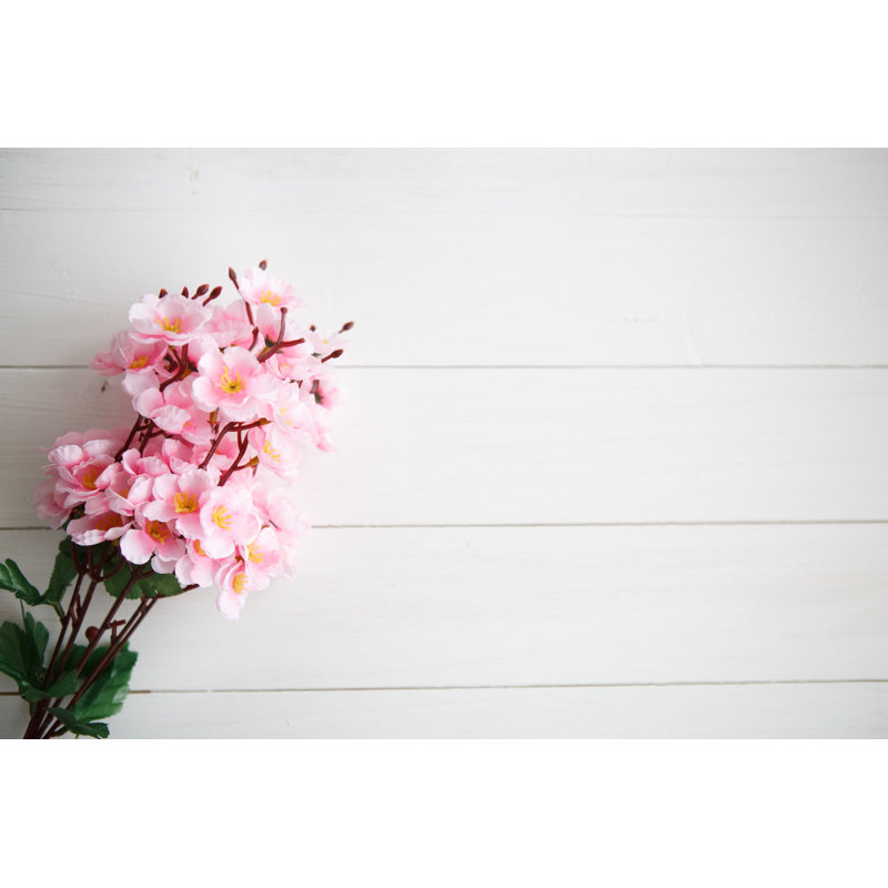 Picked Cherry Blossoms by Alek Zotoff - Wrapped Canvas Print, 30cm H x 46cm W x 3.8cm D