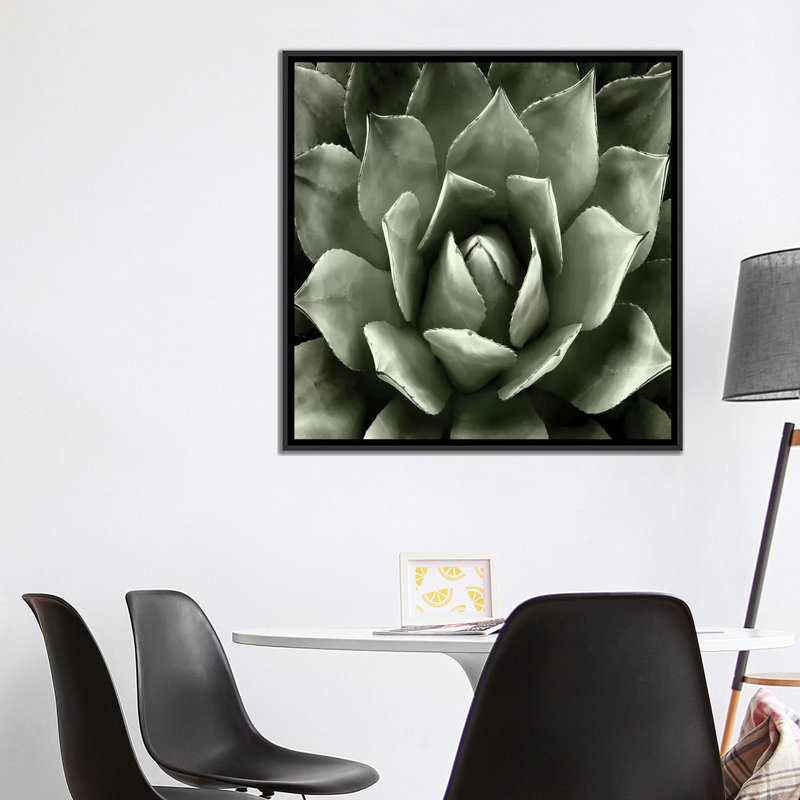 «Succulent II», impression sur toile, H 18 po x l 18 po x P 1,5 po, Toile avec cadre noir, Blanc